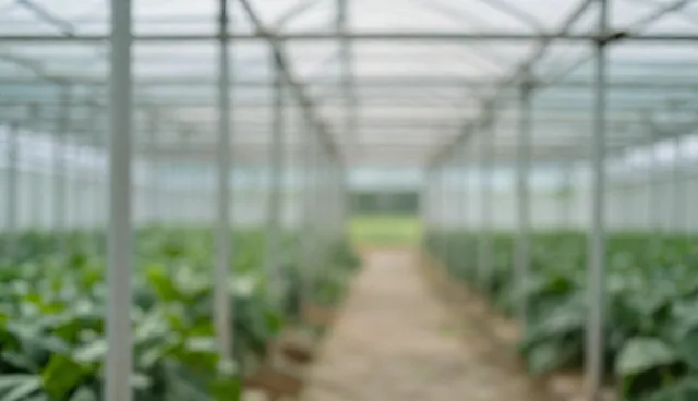 基础水电改造套餐使用中为何常出现理解偏差？